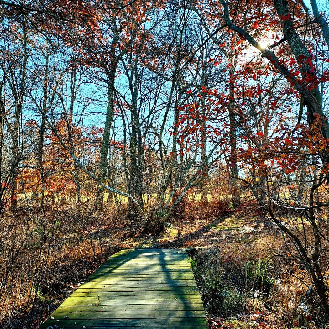 Turkey Swamp Park 3